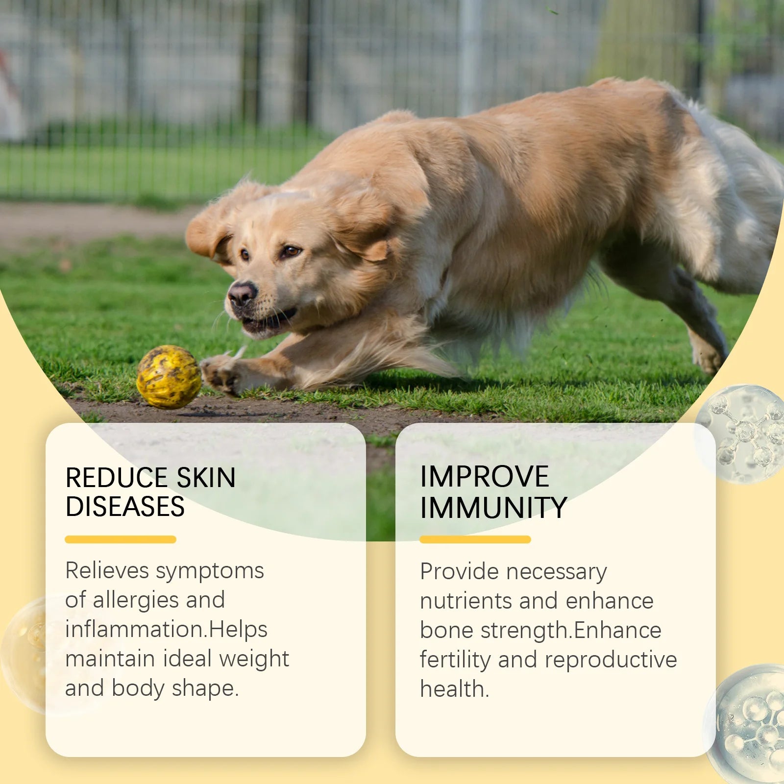 Yegbong 60pcs Omega-3 Fish Oil Tablets for Dogs Skin Care Nutrition Supplement Relieve Dry Itchy Skin Nourish Fur Enhance Bone