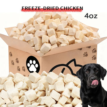 Freeze-Dried Chicken Treats for Dogs & Cats, Single-Ingredient High-Protein Pet Snacks, Natural Training Rewards, 10oz